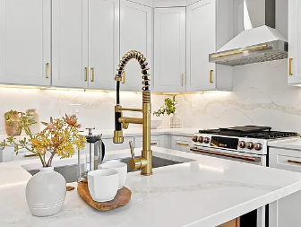Kitchen faucet and finish detail in the Watertown renovation